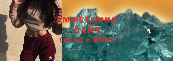 прущие грибы Балабаново