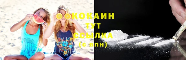 прущие грибы Балабаново