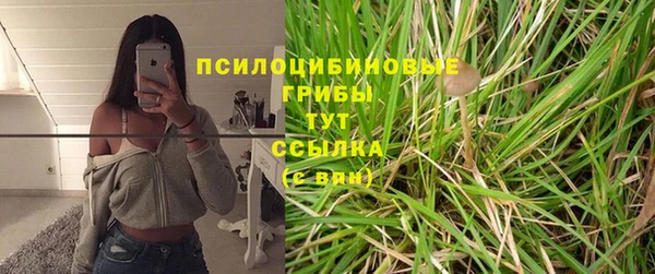 прущие грибы Балабаново