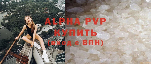 прущие грибы Балабаново