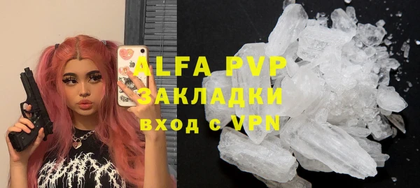 прущие грибы Балабаново