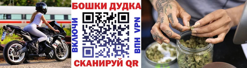 Марихуана Amnesia  магазин продажи   Вязьма 